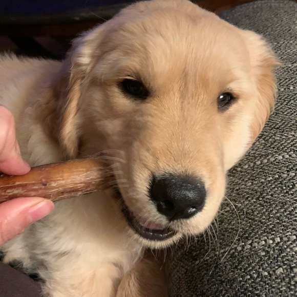 Meet your Posher, Vivi - Picture 1 of 1